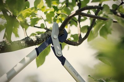 Плоскостной сучкорез Fiskars 1020187 средний PowerGearX  LX94 - фото 8239